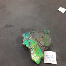 Tyleerrosee(73)5/17