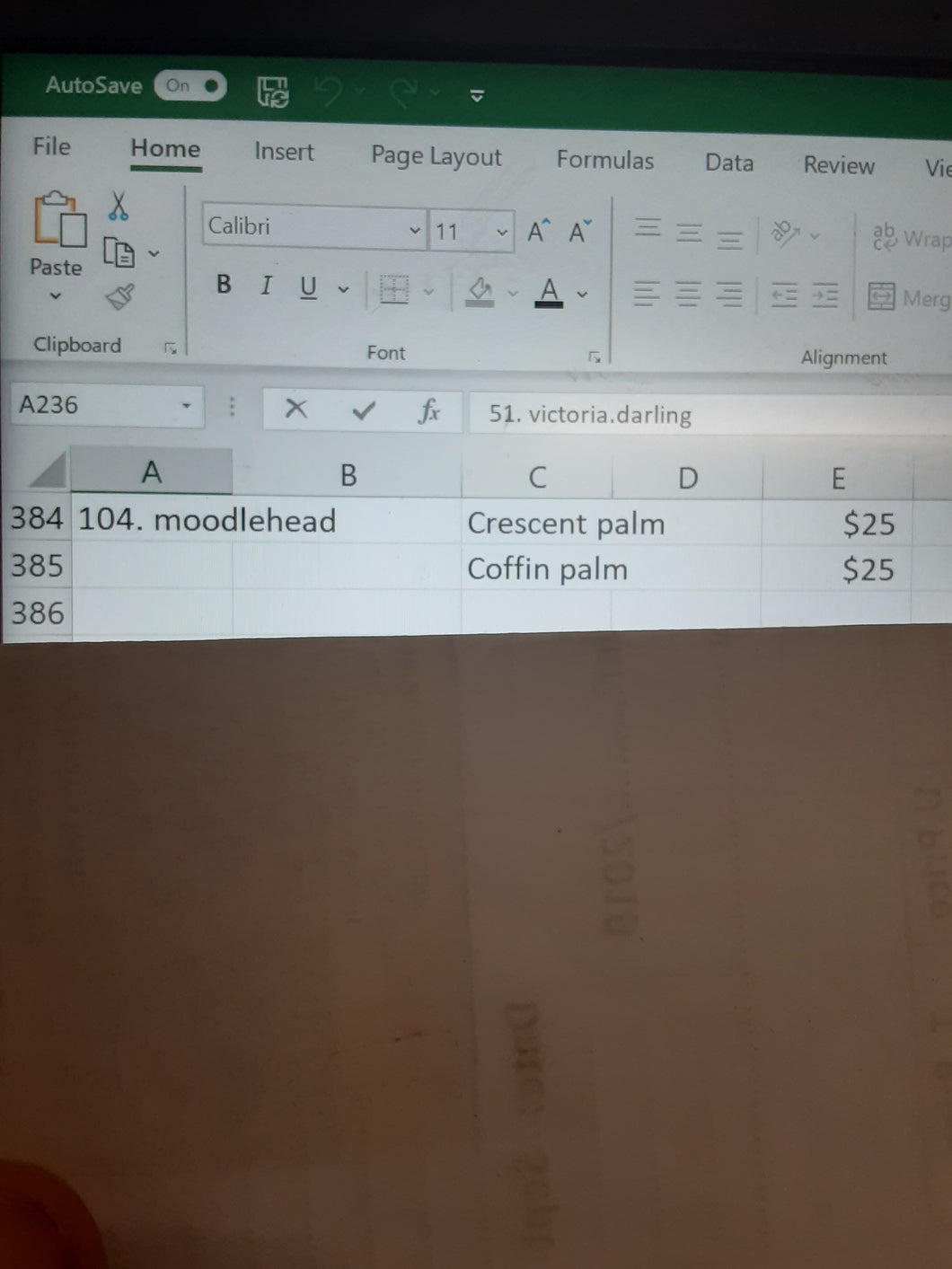 Moodlehead(104)10/21
