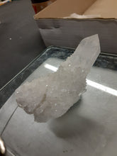 Dentonhymer(129)1/6