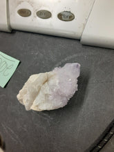 Citrine_raven(229)1/20