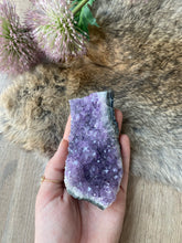 Amethyst Cluster