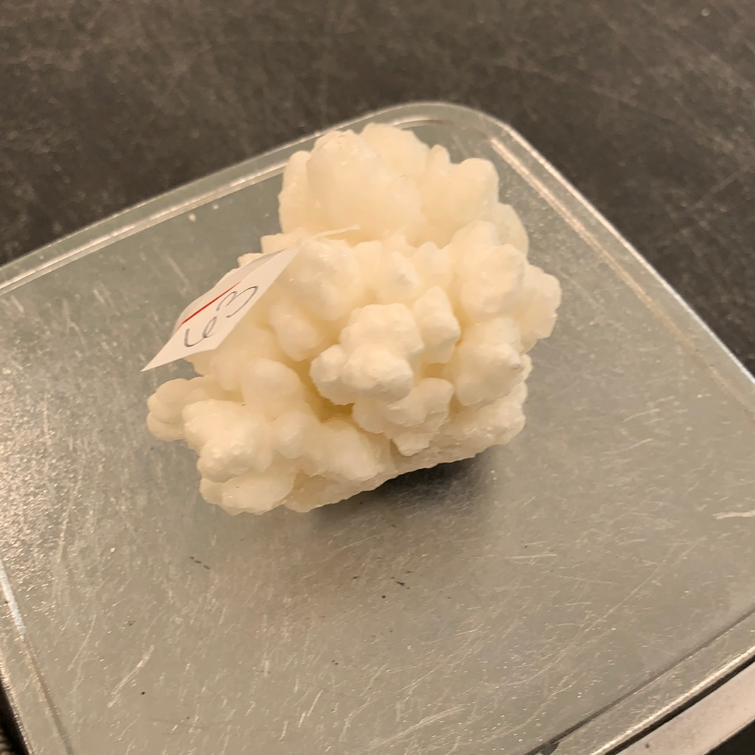 Jgalafate7(63)11/10