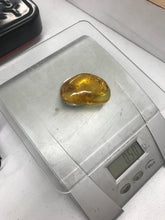 Goldenxxaura (126)10-12