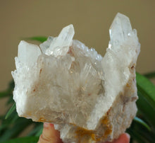 Sugar Quartz