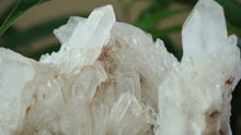 Sugar Quartz