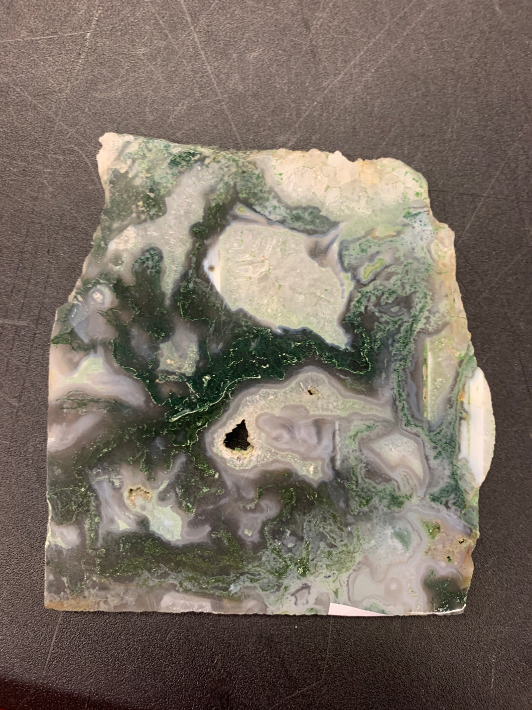 lisajogilbert(115)5/11