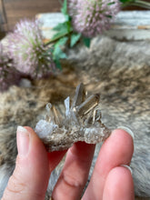 Smokey Quartz Cluster