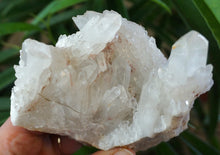 Sugar Quartz