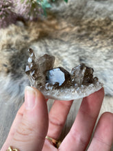 Smokey Quartz Cluster