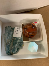 Theafterlifeofanoctopus(45)1/6