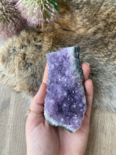 Amethyst Cluster