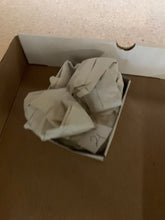 Ariel_isabella_(21)1/20