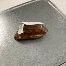 Sailorscoutcookies (10)11/29