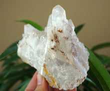 Sugar Quartz