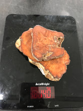 Loisannelane (51)9/28
