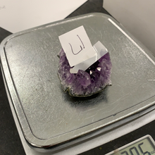 Pincheguerrero(17)10/25