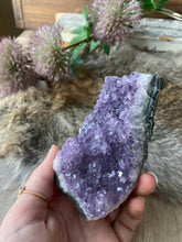 Amethyst Cluster