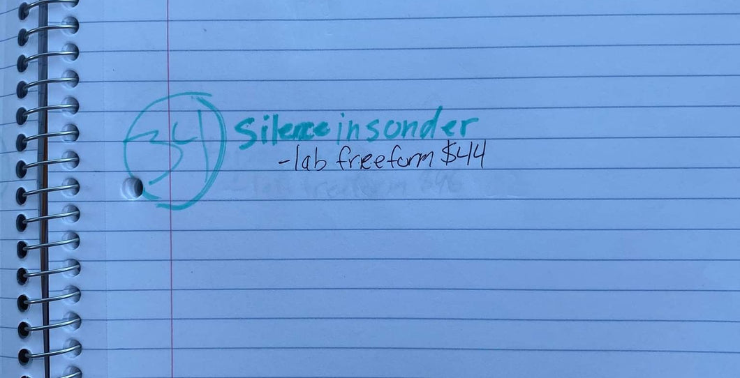 Silenceinsonder 12/22 Live